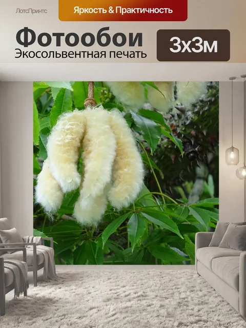 Фотообои В саду на Мадейре