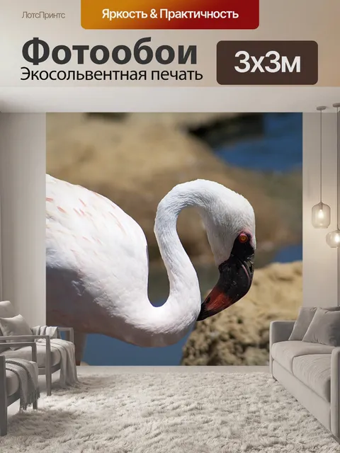 Фотообои Фламинго