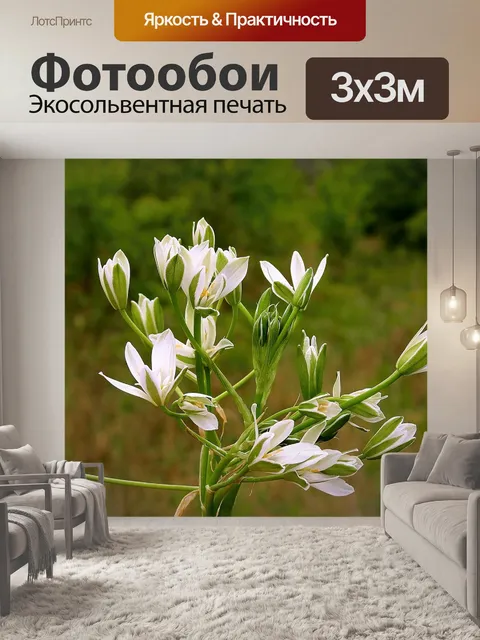 Фотообои Цветы