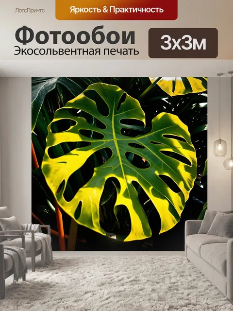 Фотообои цветной снимок садовой монстеры, где листья освещены солнечными лучами в утреннем свете
