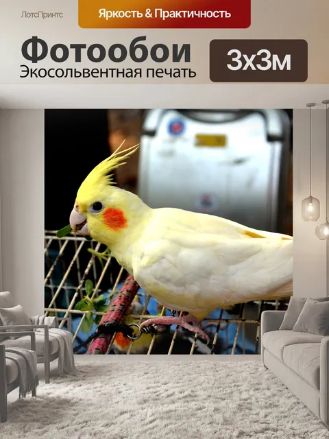 Фотообои Какаду