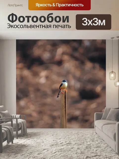 Фотообои Птицы