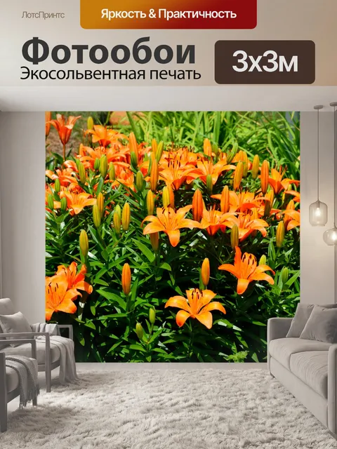 Фотообои Оранжевые Цветные День Лилии