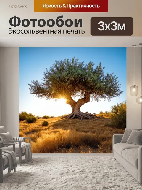 Фотообои древний оливковый дерево с изогнутыми ветвями на фоне мерцающего солнца в золотую эру