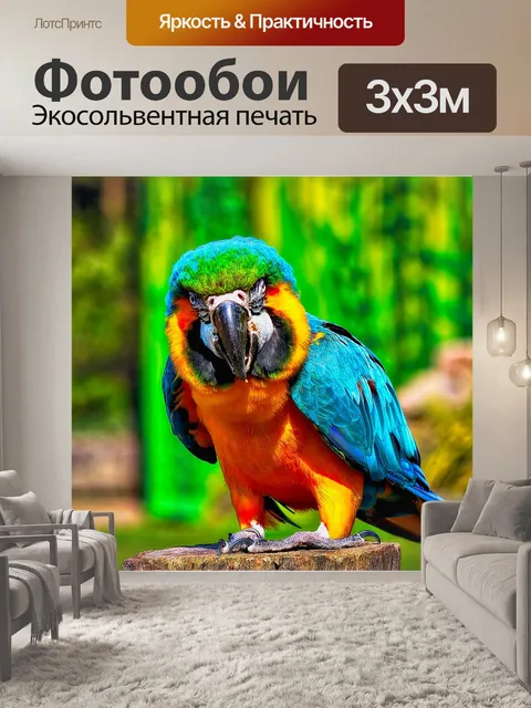 Фотообои Птица