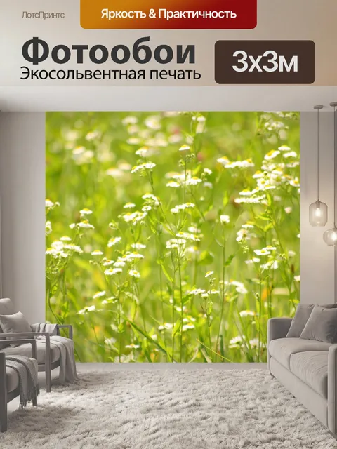 Фотообои Поле ромашек