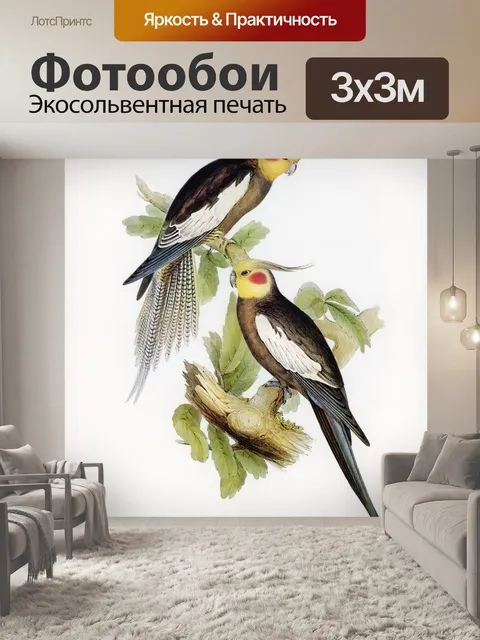 Фотообои Попугай, Какаду, Искусство какаду