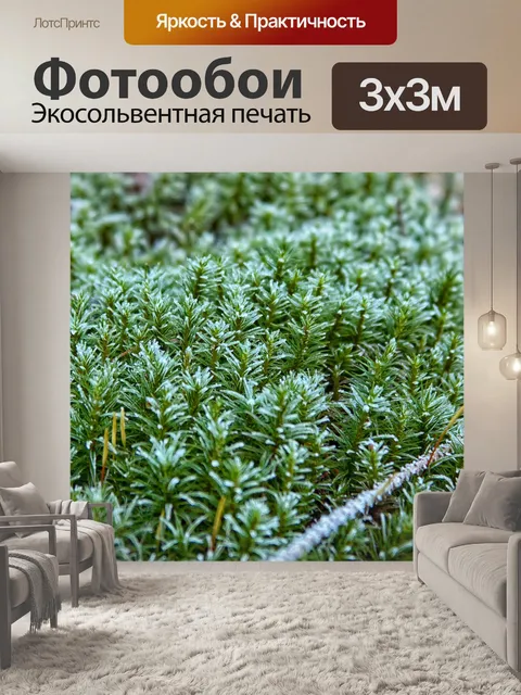 Фотообои Мох