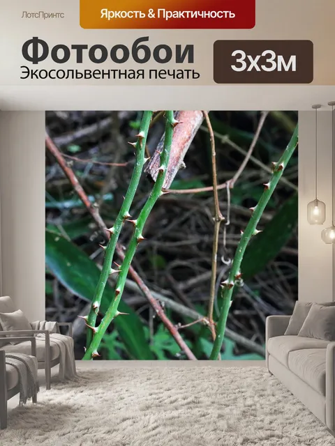 Фотообои зеленые трости с шипами