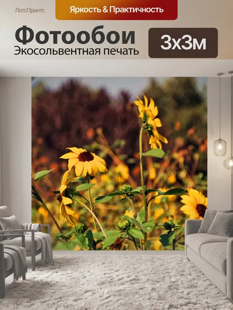 Фотообои Подсолнухи