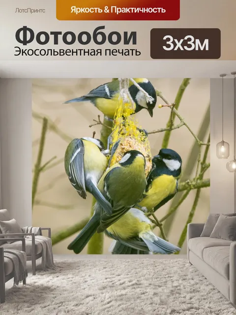 Фотообои Кормление птиц зимой