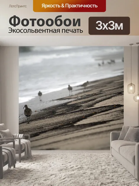 Фотообои Птицы вдоль берега океана