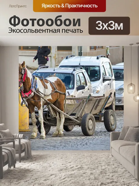 Фотообои Лошадь