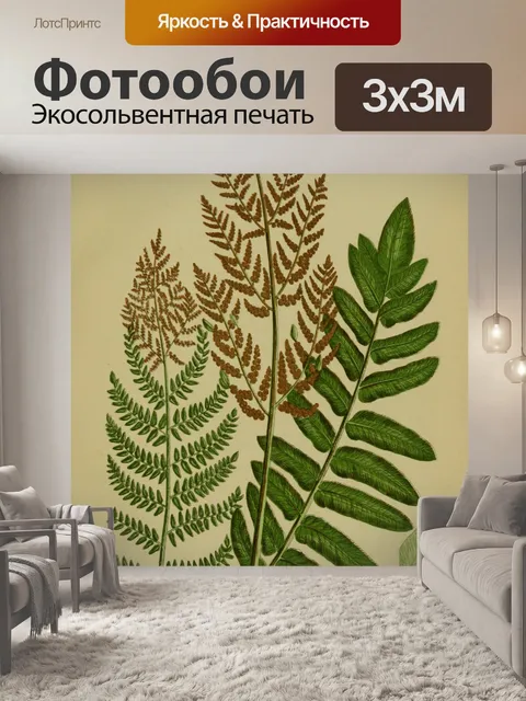 Фотообои Винтажное искусство с листьями папоротни