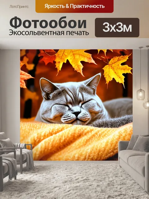 Фотообои крупный план британской короткошерстной кошки