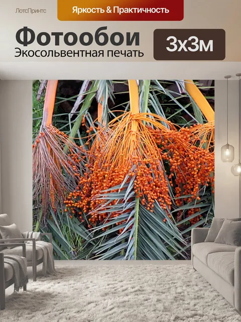 Фотообои Пальмовые орехи