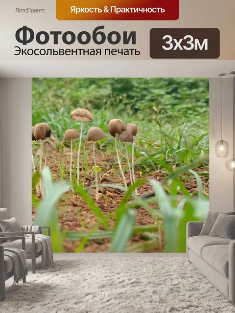 Фотообои Трава