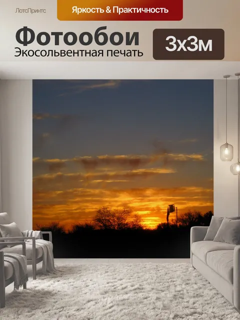 Фотообои Интенсивные закат в кустах