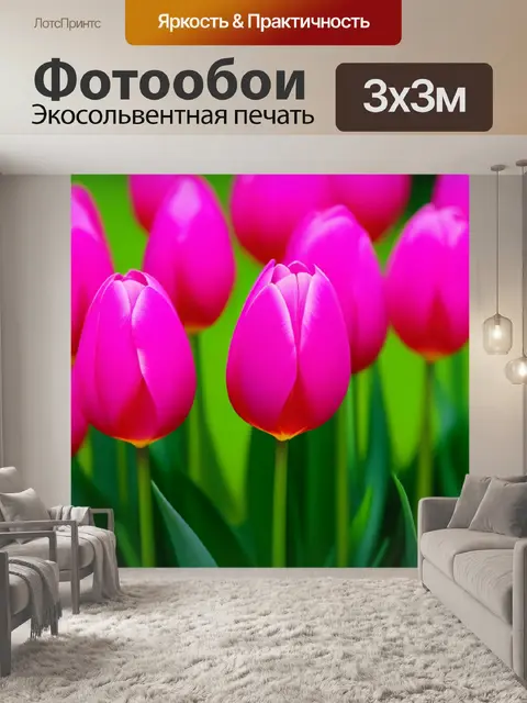 Фотообои тюльпаны в минималистичном дизайне