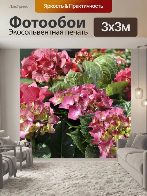 Фотообои Цветок