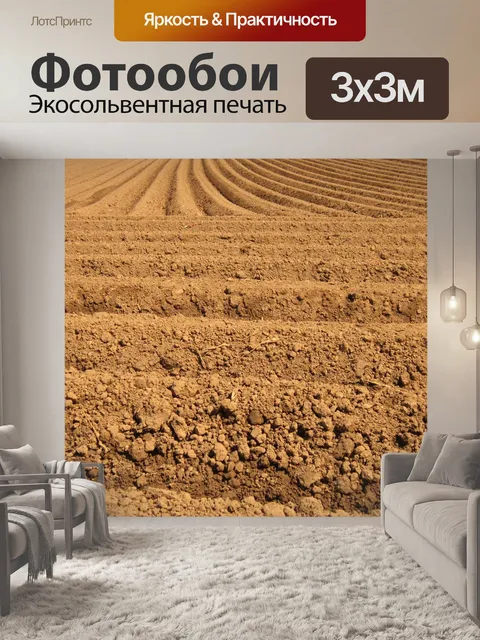 Фотообои Поле