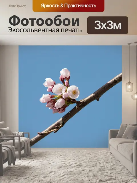 Фотообои Цветы