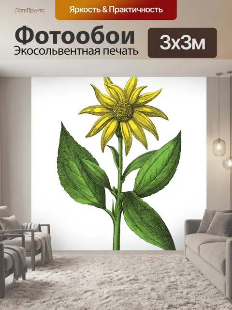 Фотообои Цветы клипарт графический рисунок