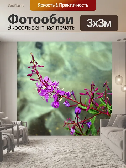 Фотообои Общие кипрея