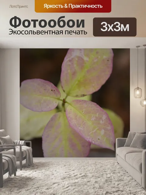Фотообои Листья