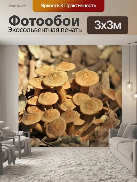 Фотообои Медовые грибы в листьях