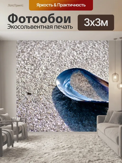 Фотообои Половина Мидийской раковины