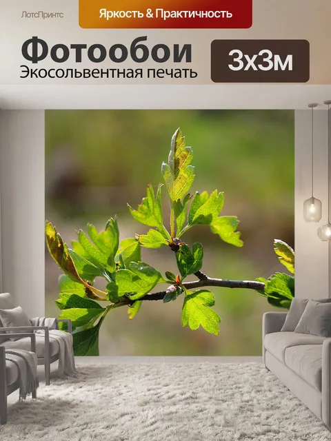 Фотообои Природа