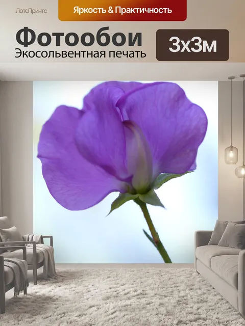 Фотообои Душистый горошек цветы