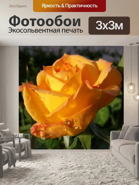Фотообои Природа