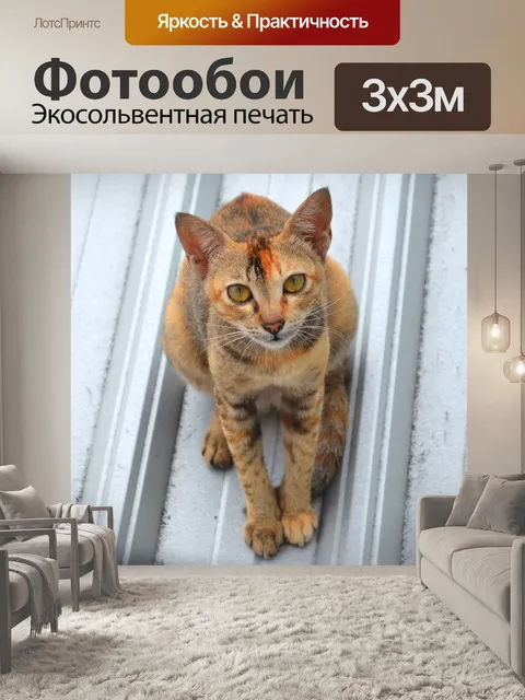 Фотообои Кошка