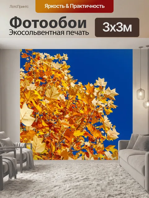 Фотообои желтые листья и голубое небо