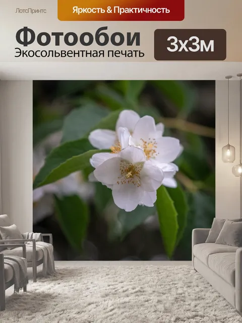 Фотообои Цвести