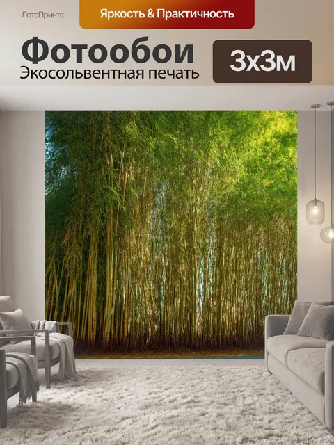 Фотообои япония, пробивающиеся лучи солнца через заросли бамбука, создающие ненавязчивую гармонию
