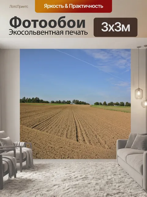 Фотообои Поля