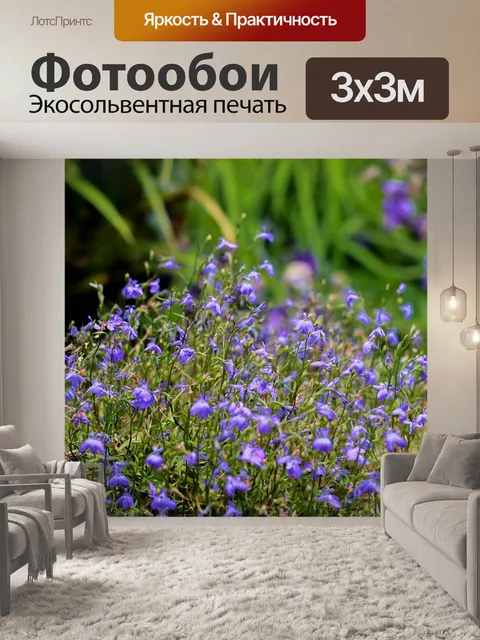 Фотообои Цветы