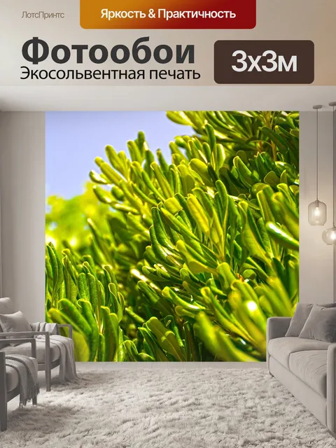 Фотообои Оливковый