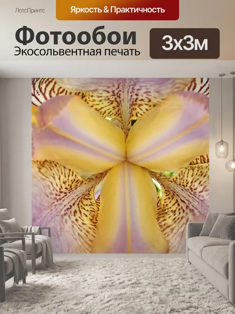 Фотообои Цветок
