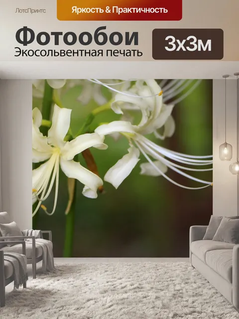 Фотообои Белый