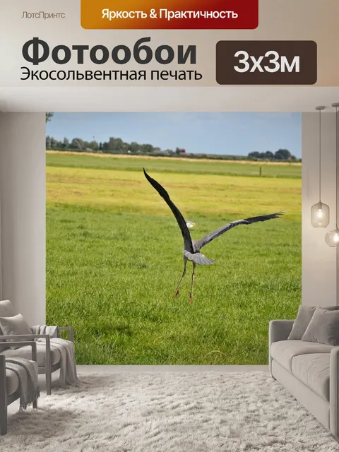 Фотообои Цапля