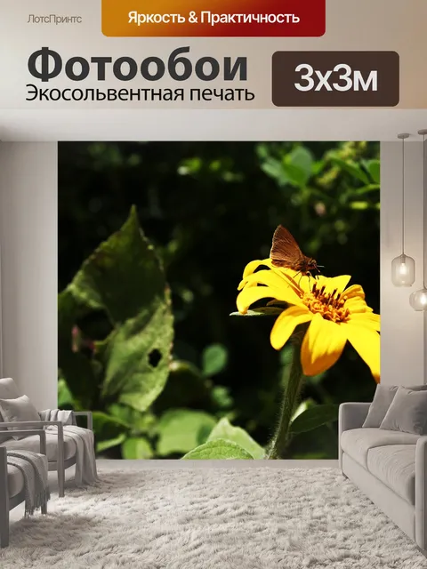 Фотообои Бабочка