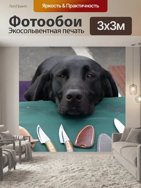 Фотообои Собака