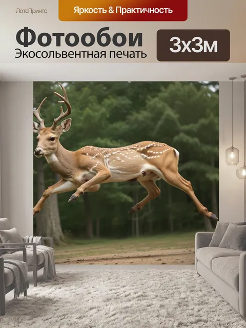 Фотообои в прыжке