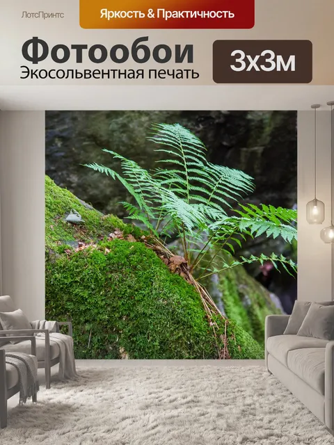 Фотообои Папоротник