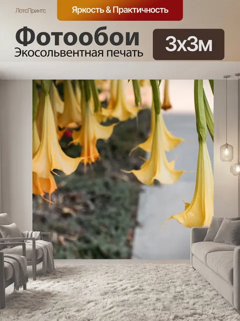 Фотообои Цветы листья