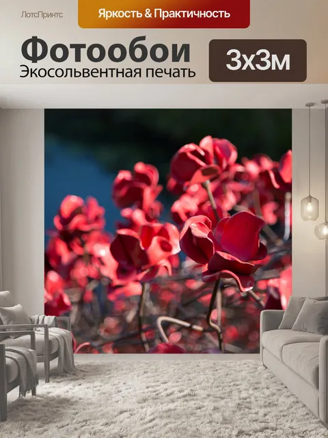 Фотообои Почтить память жертв, красные маки